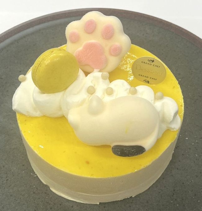 ねむねむネコと南国マンゴーのひんやりチーズケーキ（５号サイズ）幅15cm 1