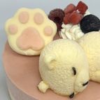 可憐なベリーのご褒美ケーキ ラズベリーレアチーズ5号 幅15cm 4