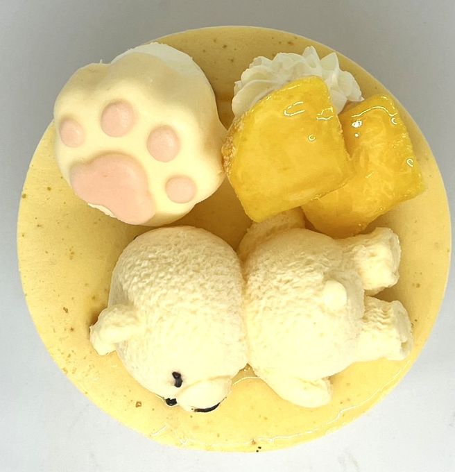 マンゴーの恵み レアチーズケーキ（4号サイズ） 幅12cm 3