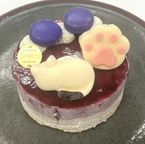 ブルーベリー香る、眠りネコのレアチーズケーキのレアチーズ4号 幅12cm 1