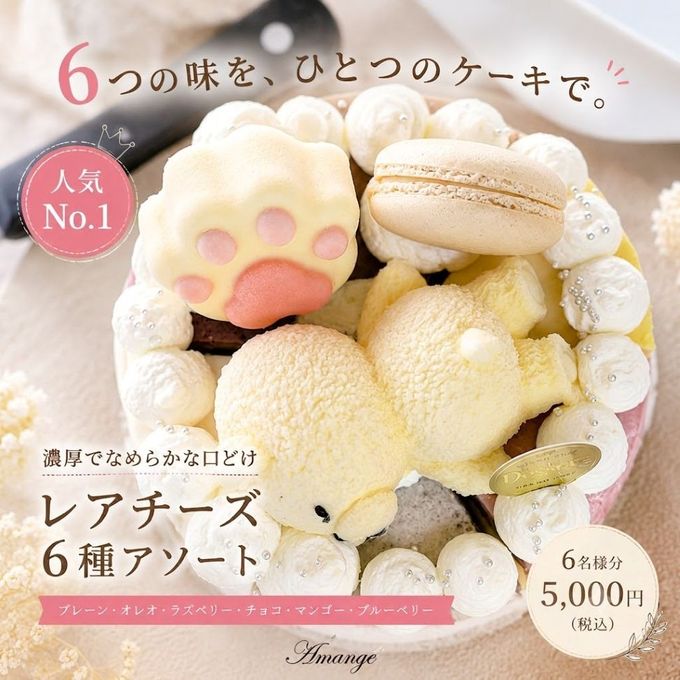 【人気No.1】濃厚レアチーズ6種アソート 5号 〜選ぶ楽しさも贈れる贅沢セット〜 1