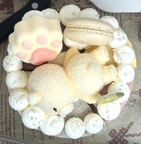 レアチーズの贈り物 〜6つの味わい詰め合わせ〜