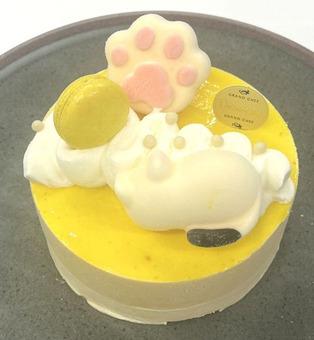 ねむねむネコと南国マンゴーのひんやりチーズケーキ（５号サイズ）幅15cm 3