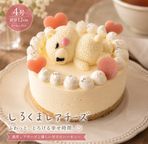 しろくまレアチーズ4号 幅12cm 1