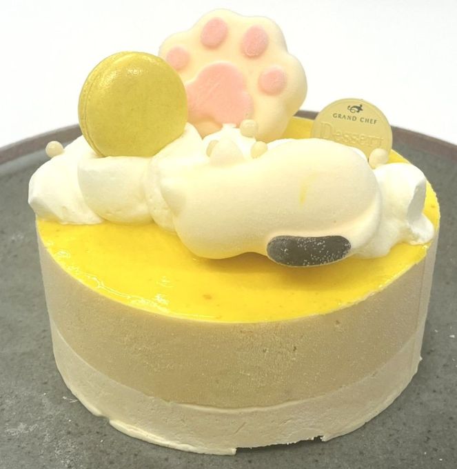 ねむねむネコと南国マンゴーのひんやりチーズケーキ（５号サイズ）幅15cm 2