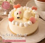 しろくまレアチーズ5号 幅15cm 2