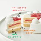 Cakeの断面図 2