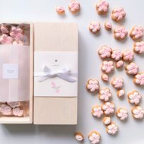 桜アイシングクッキーギフト(次回発送日4月25日）