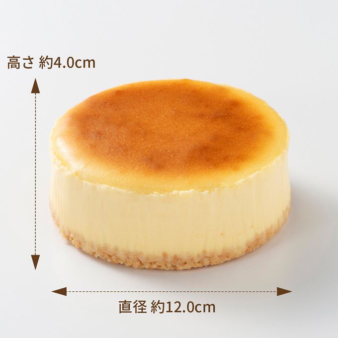 糸島チーズケーキ08 8