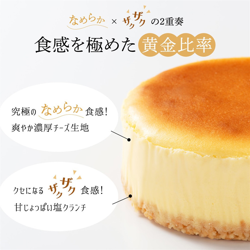 塩味・ザクザク食感が堪らない】糸島チーズケーキ4号（Sweets