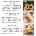 パン 詰め合わせ 送料無料 10個 選べるお試しプレミアム 冷凍パン セット 16種類から お取り寄せ ご褒美パン 選べる 福袋 冷凍 無添加 国産小麦 100％ 美味しい 惣菜パン 菓子パン 焼きたて 3