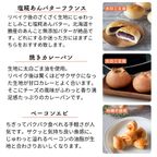 パン 詰め合わせ 送料無料 10個 選べるお試しプレミアム 冷凍パン セット 16種類から お取り寄せ ご褒美パン 選べる 福袋 冷凍 無添加 国産小麦 100％ 美味しい 惣菜パン 菓子パン 焼きたて 5