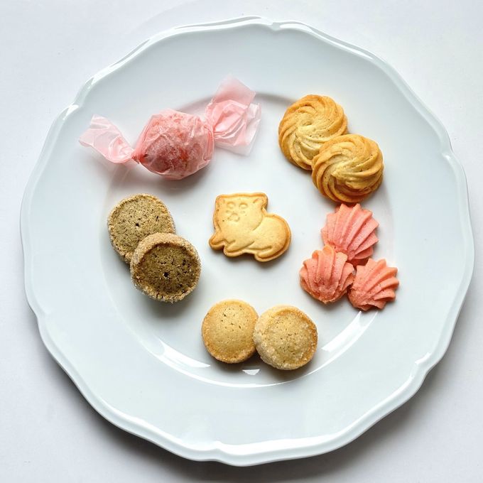 ６種のクッキーアソート犬 7