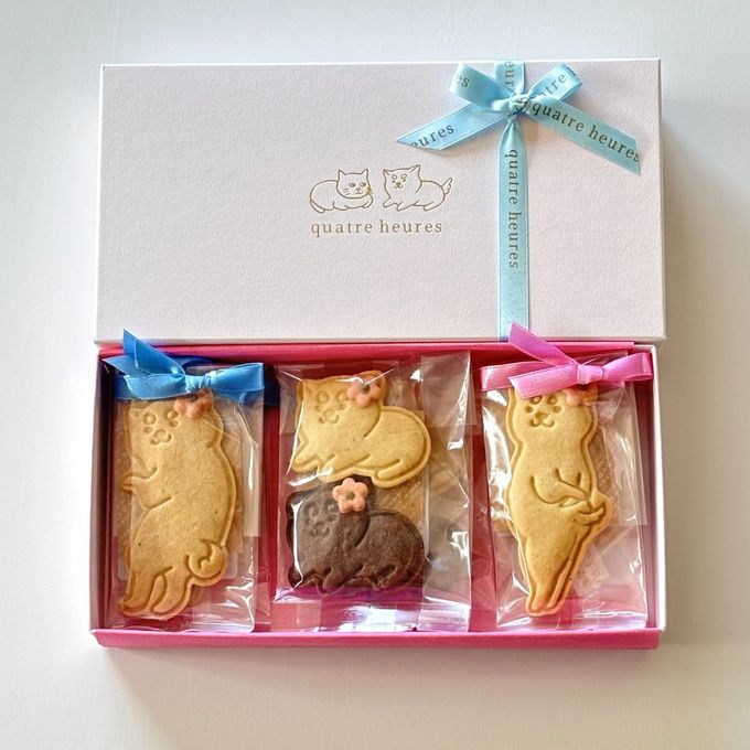 クッキーが選べる犬猫クッキーボックス 6