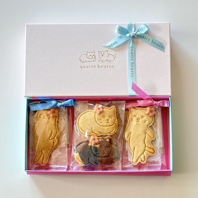 クッキーが選べる犬猫クッキーボックス 1