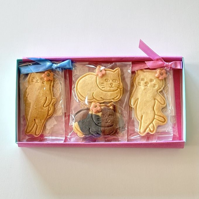 クッキーが選べる犬猫クッキーボックス 2