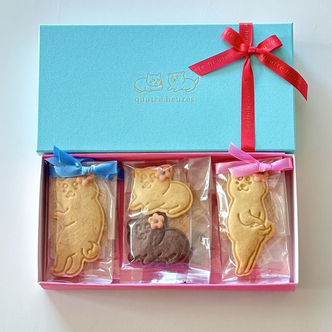 クッキーが選べる犬猫クッキーボックス 5