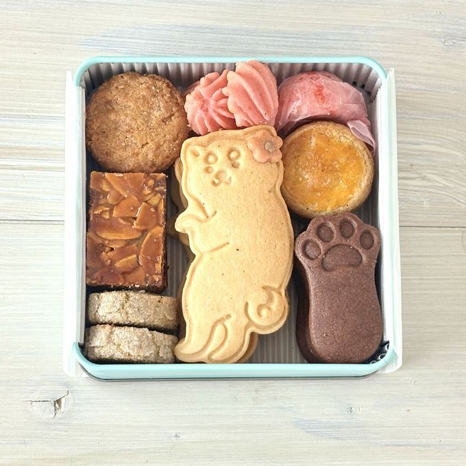 選べる犬猫クッキー缶  3