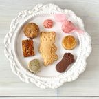 選べる犬猫クッキー缶  5