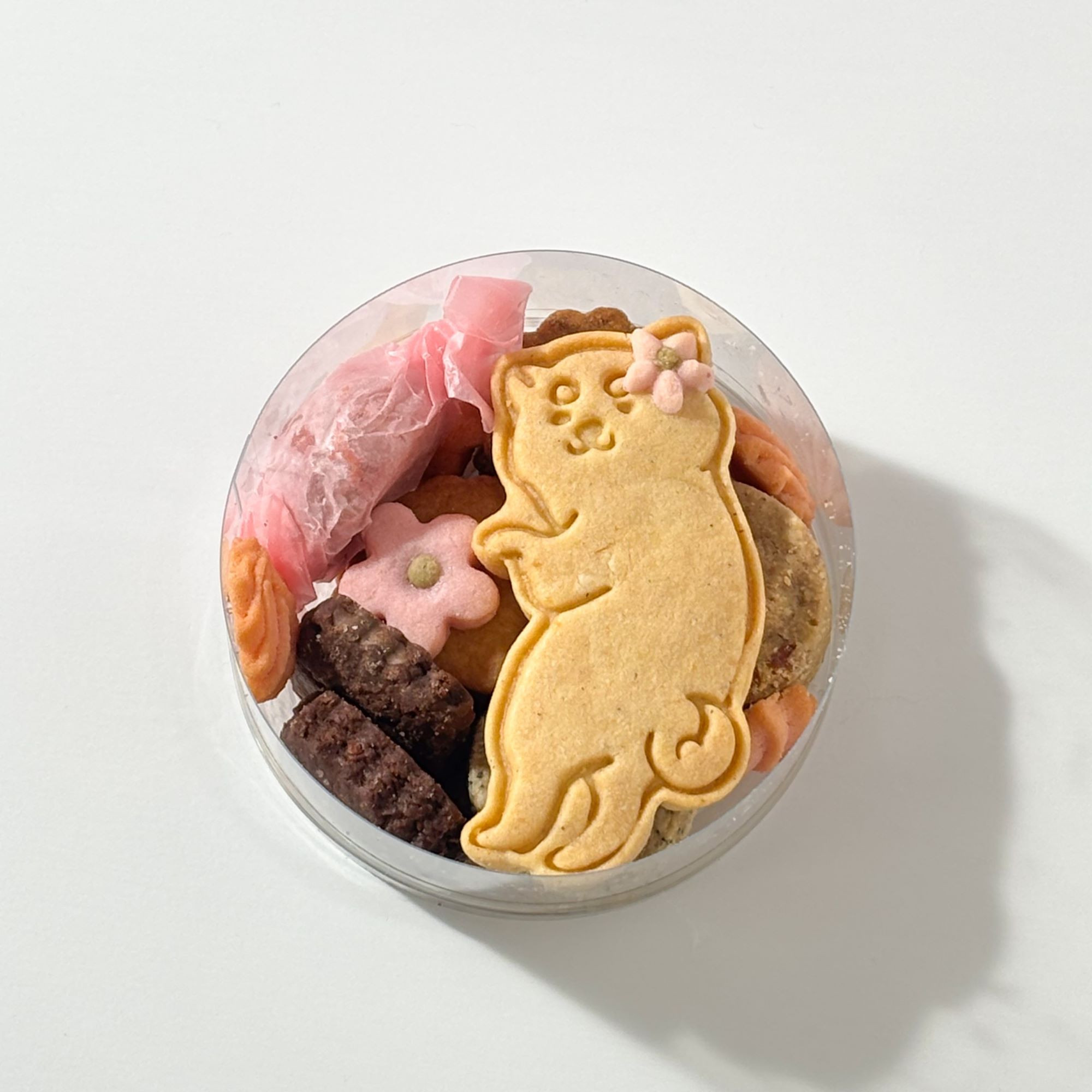 お散歩犬の発酵ビスケットボックス （quatre heures） | Cake.jp