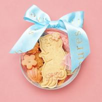お散歩犬の発酵ビスケットボックス 