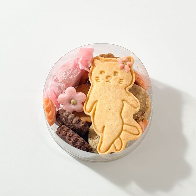 お散歩猫の発酵ビスケットボックス  6