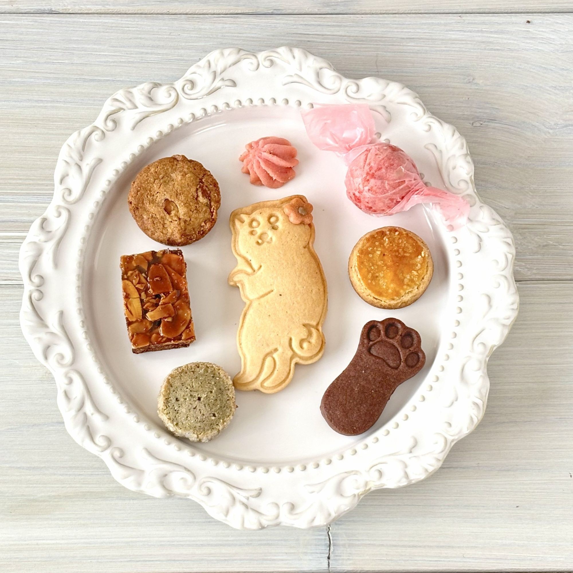 選べる犬猫クッキー缶 （quatre heures） | Cake.jp