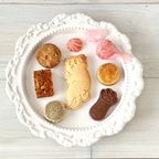 選べる犬猫クッキー缶  6