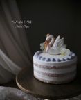 swan cake 《小麦・卵・乳製品》不使用ケーキ ファーストバースデー スマッシュケーキ 1