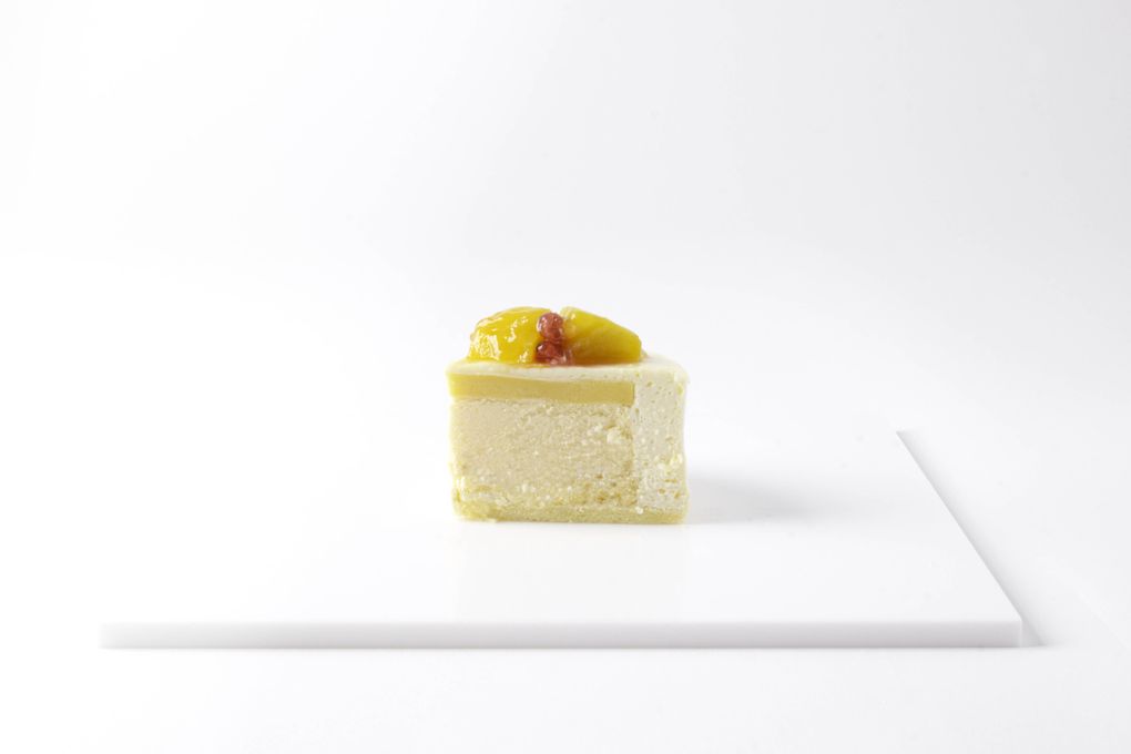 【卸専用ヨドバシカメラ】クリスマスドゥーブルフロマージュ クリスマスケーキ 2025 2