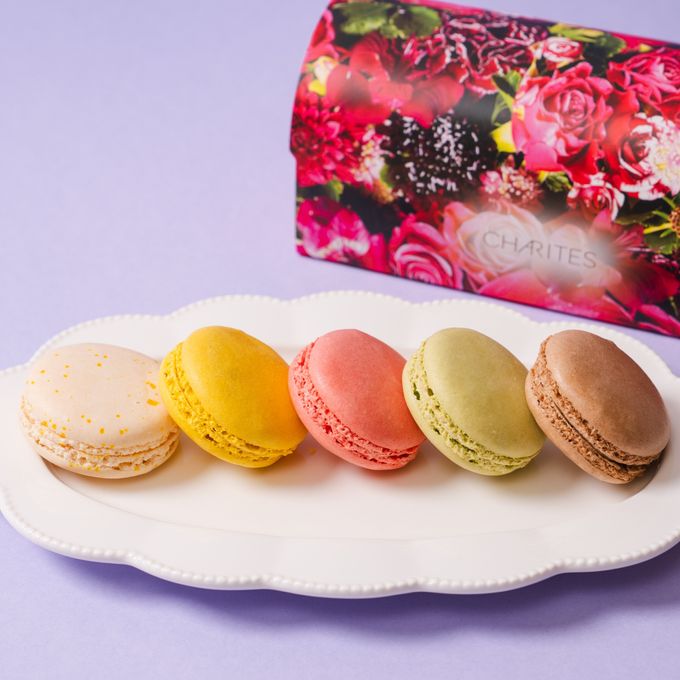 https://assets.cake.jp/bp/itemimg/12823/9058919976732c3055ae8d20241112.jpg 4