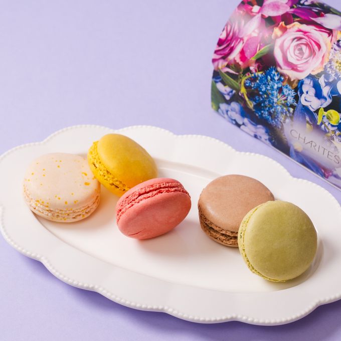 https://assets.cake.jp/bp/itemimg/12823/16696639476732d8080826e20241112.jpg 1