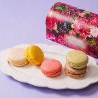 https://assets.cake.jp/bp/itemimg/12823/7516524656732c273ddeac20241112.jpg 1
