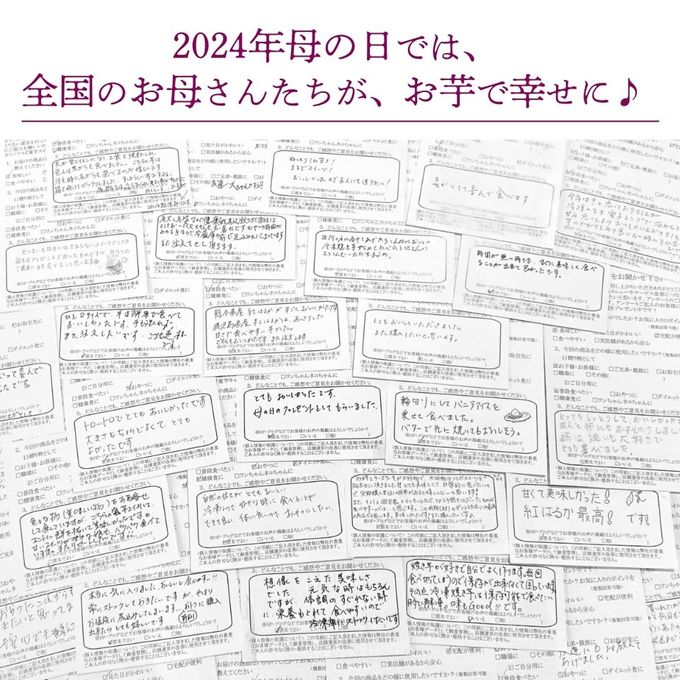 【芋カフェの週末ご褒美】九州産紅はるかの焼き芋をたっぷり使ったプレミアム蜜芋スイートポテトチーズケーキ プレゼント 高級 蜜芋 プレミアム 九州産 紅はるか 誕生日プレゼント ギフト 50代 60代 70代 80代 甘党 スイーツ 手作り 洋菓子 贈り物 母の日 お歳暮2025 2