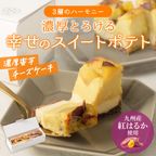 【芋カフェの週末ご褒美】九州産紅はるかの焼き芋をたっぷり使ったプレミアム蜜芋スイートポテトチーズケーキ プレゼント 高級 蜜芋 プレミアム 九州産 紅はるか 誕生日プレゼント ギフト 50代 60代 70代 80代 甘党 スイーツ 手作り 洋菓子 贈り物 母の日 お歳暮2025 1