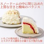 【京王プラザホテル 穐山シェフ監修】Cake.jpオリジナルクリスマス「ブールドネージュ」1個（直径16cm） 5