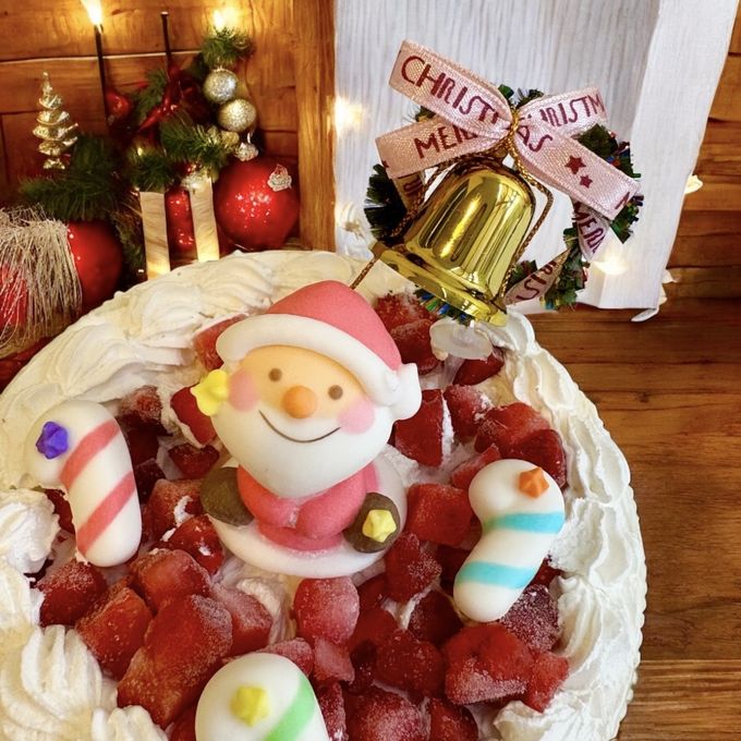 《無添加》サンタ村のストロベリーカーニバルクリスマスケーキ 4号 クリスマス2025 2