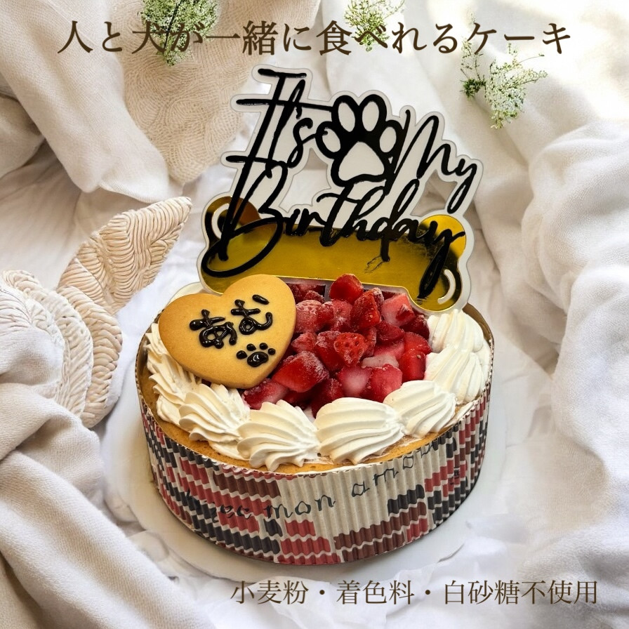 いちご大好きワンちゃんに！ストロベリーバースデーケーキ-4号（Gaby