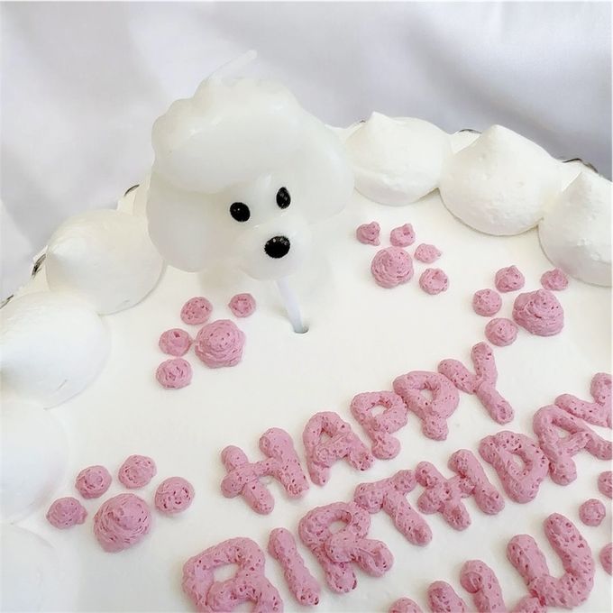 《無添加》わんちゃんねこちゃんにも安心安全の可愛いバースデーケーキをプレゼントしよう 4号 3