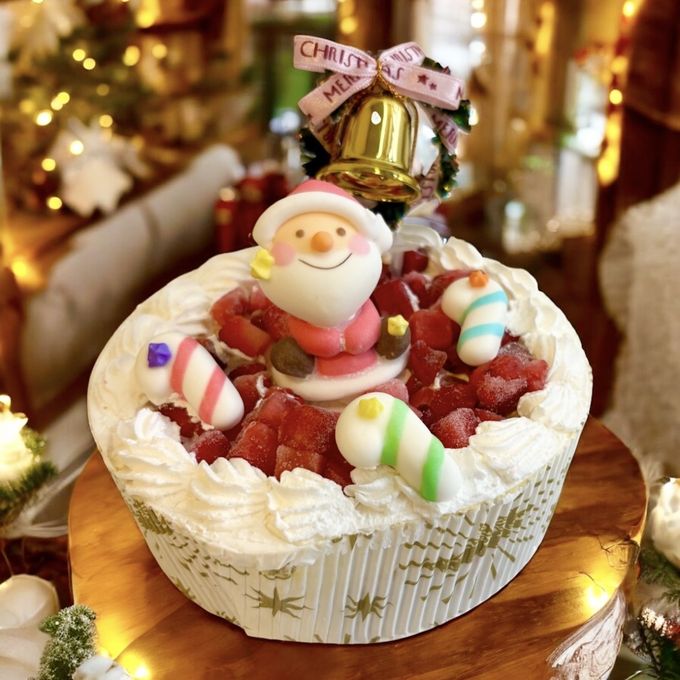 《無添加》サンタ村のストロベリーカーニバルクリスマスケーキ 4号 クリスマス2025 3
