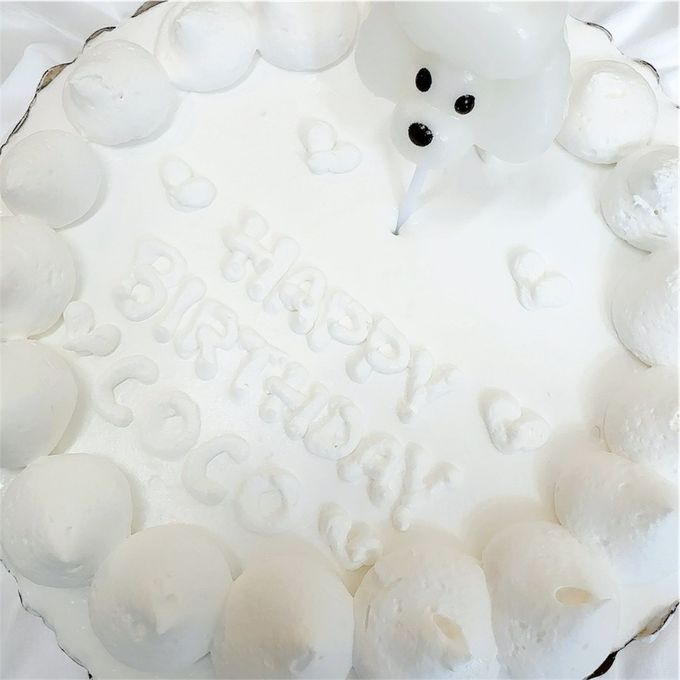 《無添加》わんちゃんねこちゃんも喜ぶシンプルで可愛いバースデーケーキ4号 4