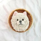 《無添加》にっこりわんこのお祝いカップ 5