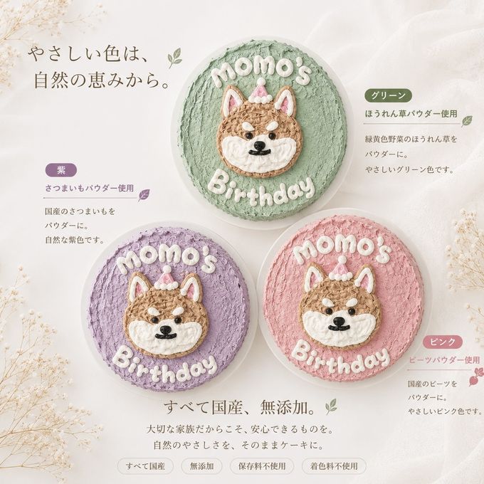 《無添加》もふっと柴ちゃんのごきげんバースデーケーキ4号 7