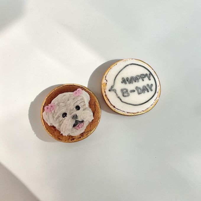 《無添加》今日は主役のカップケーキ  3