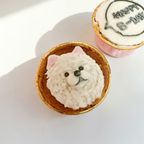 《無添加》にっこりわんこのお祝いカップ 3