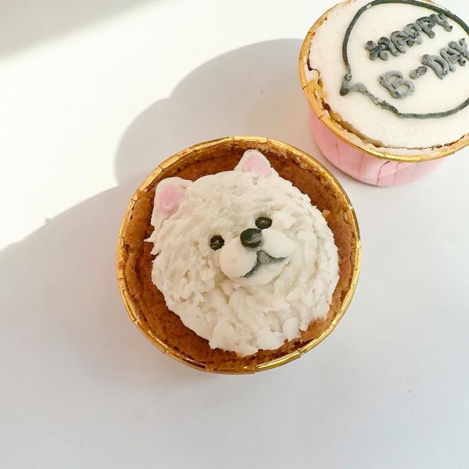 《無添加》にっこりわんこのお祝いカップ 3