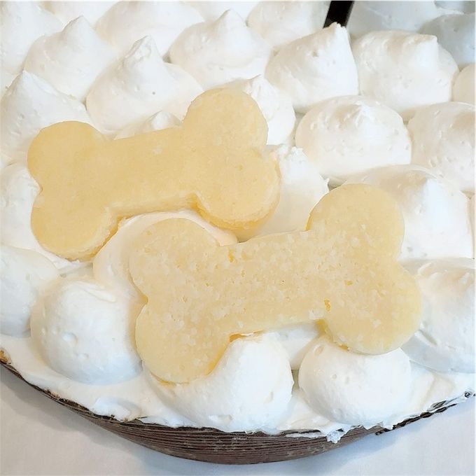 《無添加》わんちゃんねこちゃんも楽しめるバースデーケーキ 4