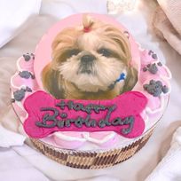 安心無添加！愛犬のとっておきの一枚で特別なバースデーケーキ-5号
