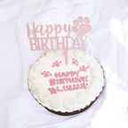 《無添加》春生まれのわんちゃんねこちゃんにぴったりの桜色バースデーケーキ 4号 3