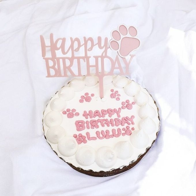 《無添加》春生まれのわんちゃんねこちゃんにぴったりの桜色バースデーケーキ 4号 3